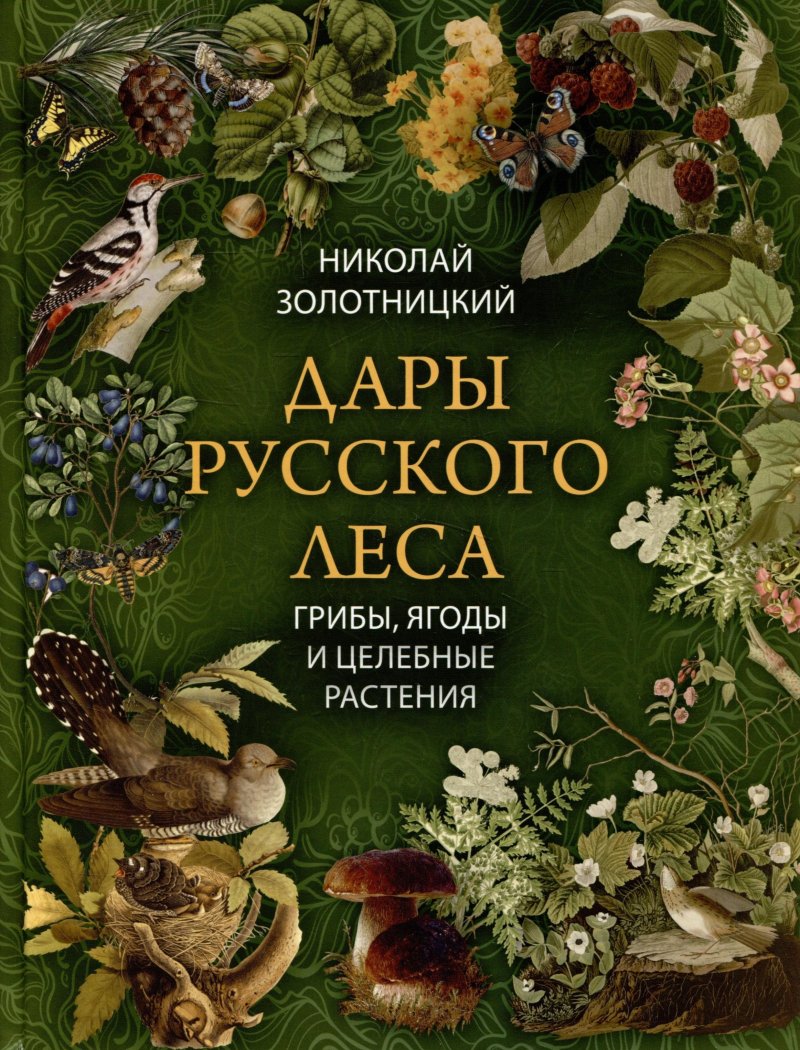 Николай Фёдорович Золотницкий Дары русского леса. Грибы, ягоды и целительные растения